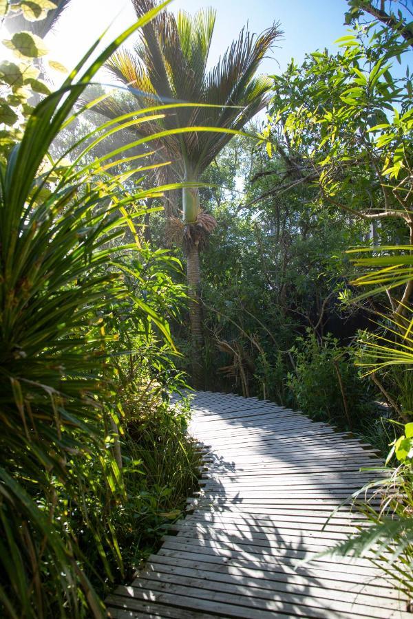 Seascapes Punakaiki Exterior foto